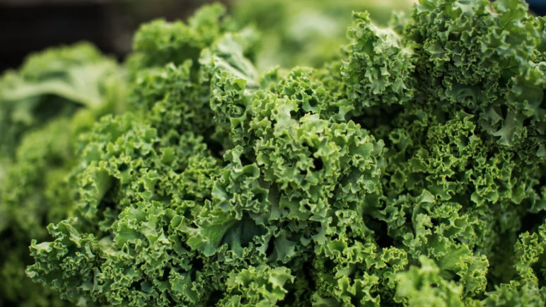 Kale: La Verdura que Revoluciona la Alimentación Saludable en Argentina