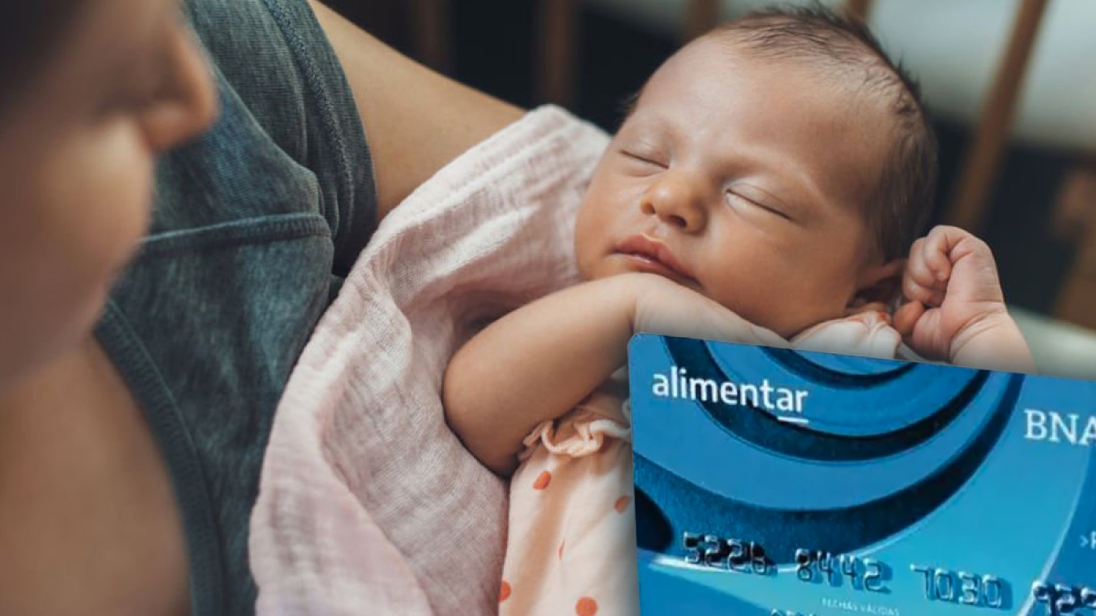 ANSES confirmó el monto y las fechas de pago de la Tarjeta Alimentar para diciembre