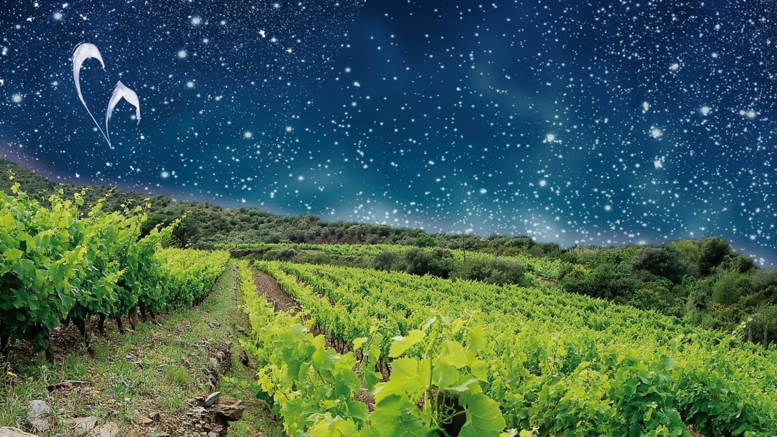 Agricultura biodinámica: conexión entre la agricultura y el cosmos