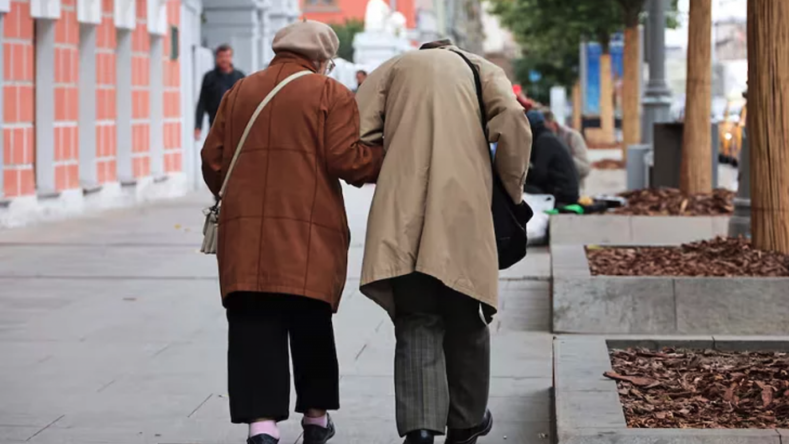 ANSES: esta sería la nueva jubilación mínima propuesta para enero de 2025