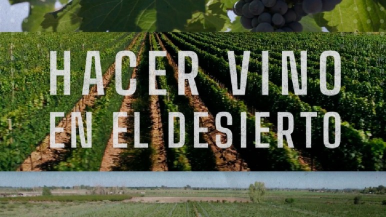 Continúa el ciclo "MOST al Sur" en La Enoteca con cine del vino y estrenos exclusivos