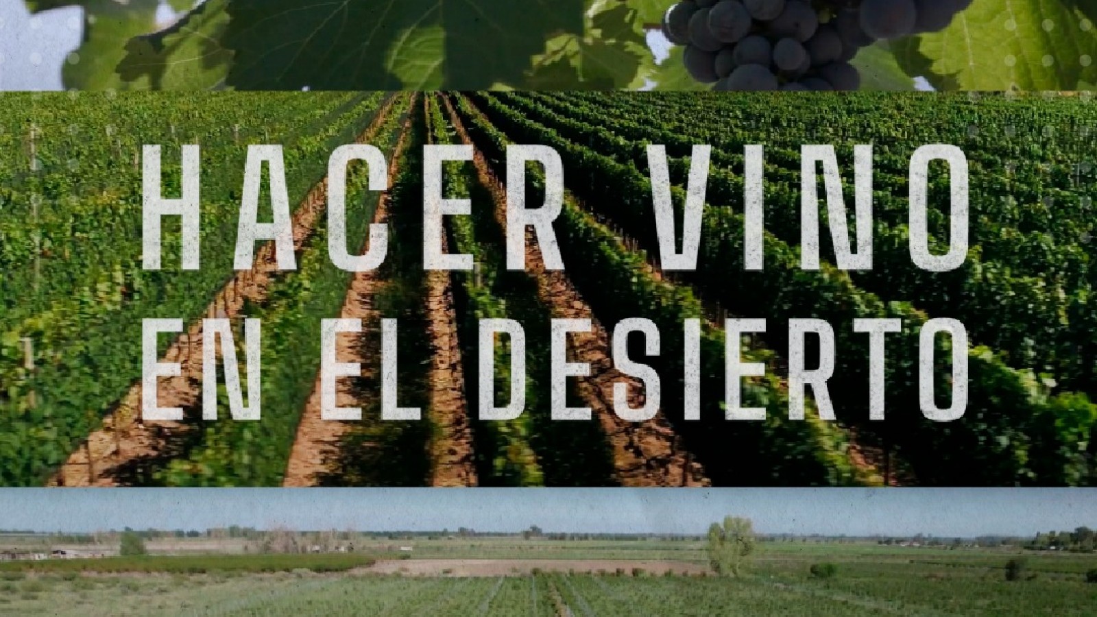 Continúa el ciclo "MOST al Sur" en La Enoteca con cine del vino y estrenos exclusivos