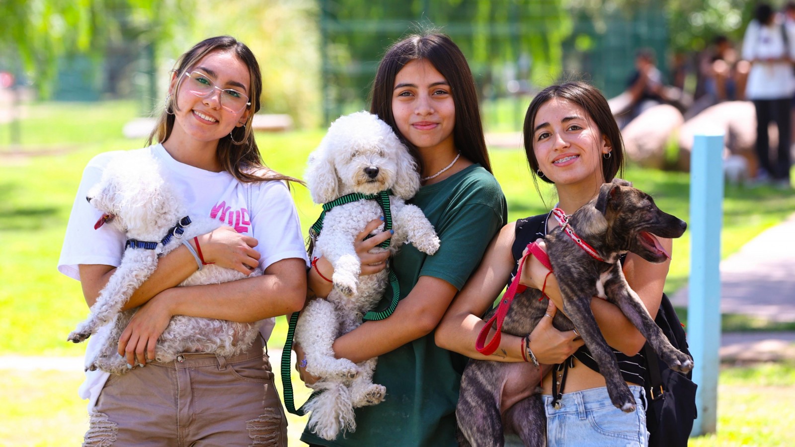 Caminata saludable para concienciar sobre el cuidado responsable de las mascotas
