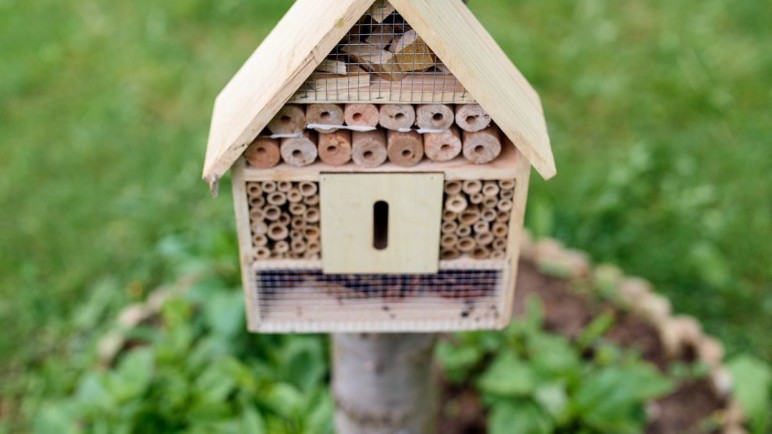 Sostenibilidad en el paisajismo: cómo crear un jardín ecológico y eficiente