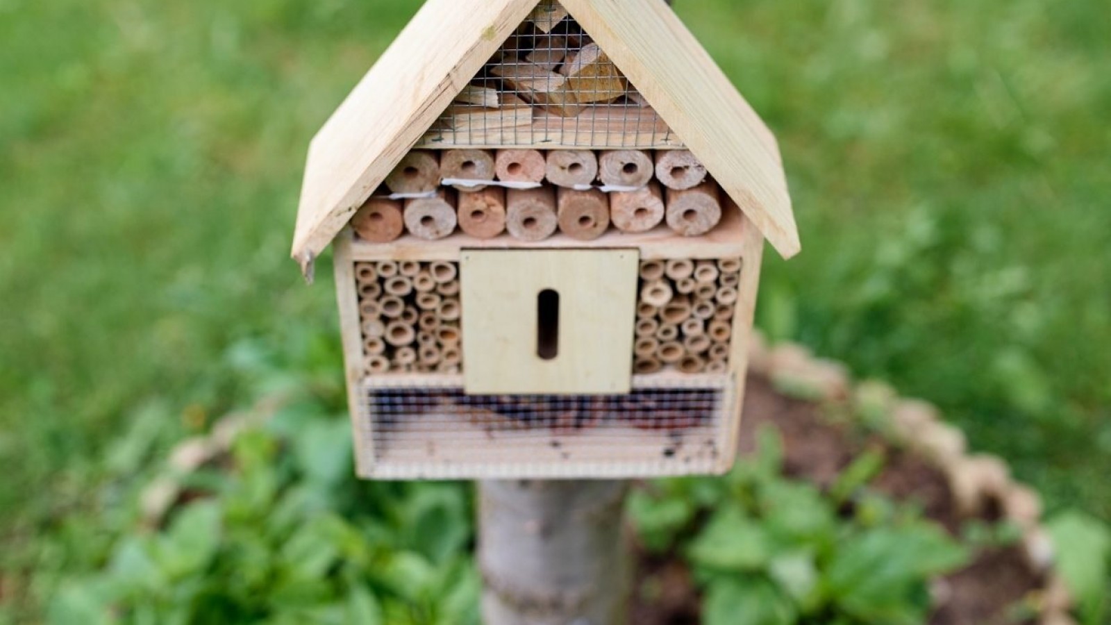 Sostenibilidad en el paisajismo: cómo crear un jardín ecológico y eficiente