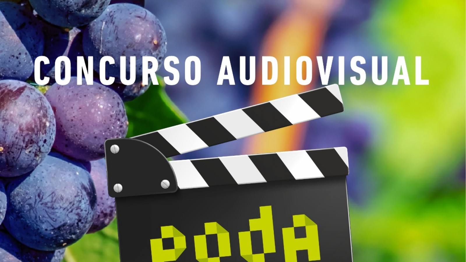 Concurso PODA de cortometrajes sobre el vino abre su convocatoria con un premio de $8 millones