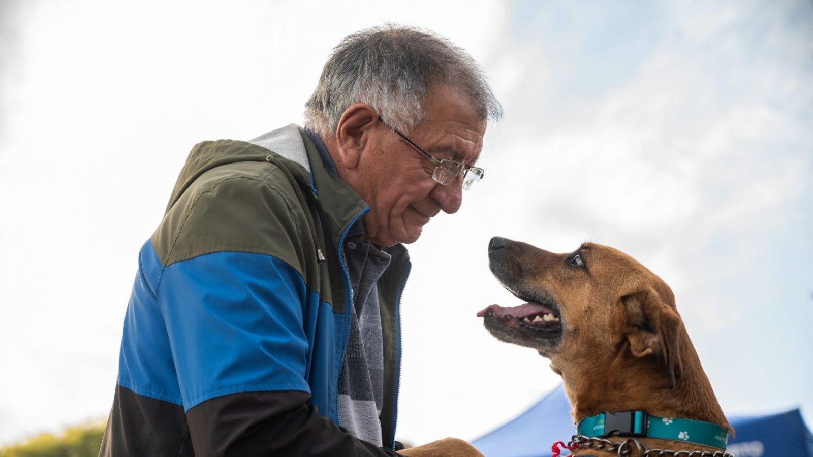 "Cuido a mis amigos": Taller de bienestar animal para personas mayores