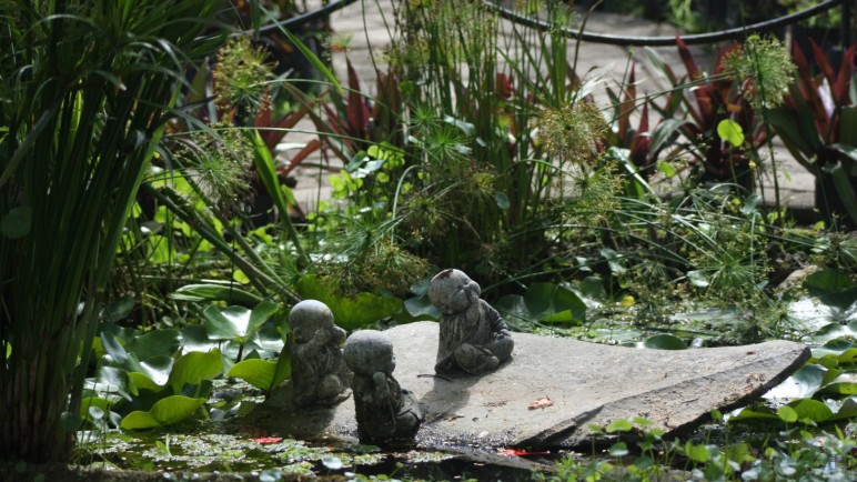 Jardines temáticos: ideas para personalizar tu espacio exterior