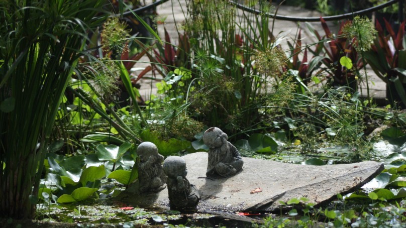 Jardines temáticos: ideas para personalizar tu espacio exterior