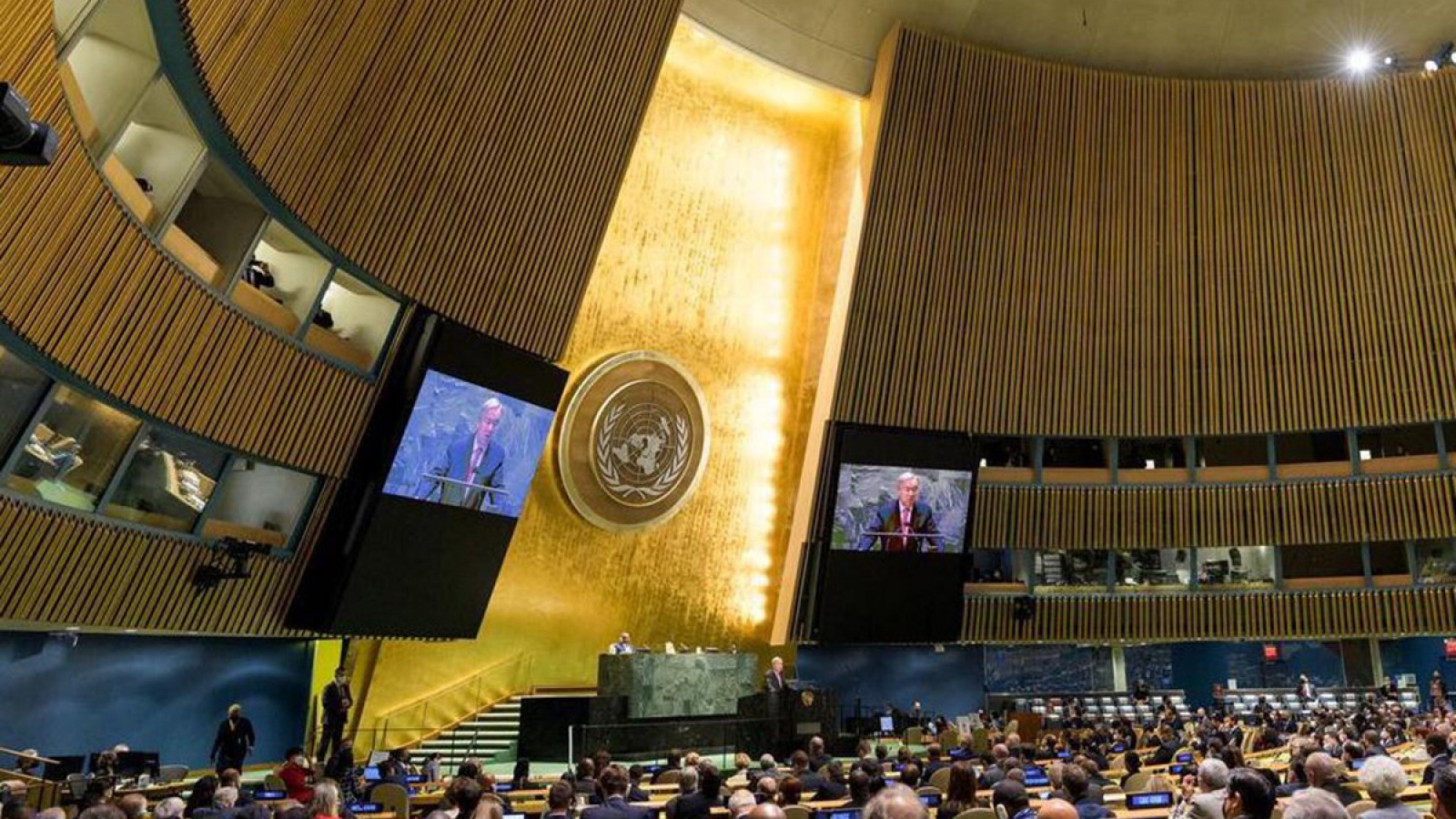 Argentina, único país que votó en contra de la eliminación de la violencia a mujeres y niñas