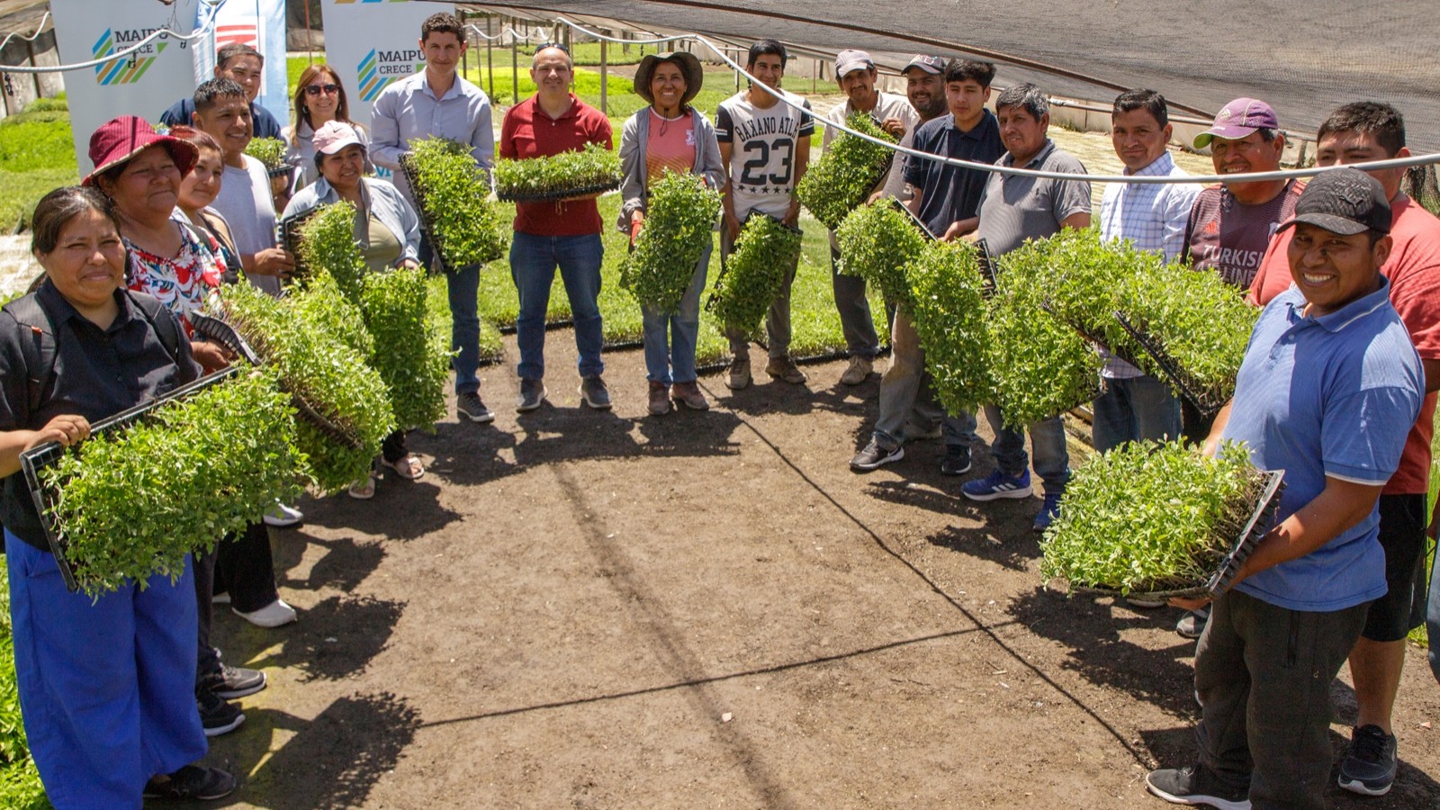 Maipú impulsa la soberanía productiva con la entrega de más de 35 mil plantines