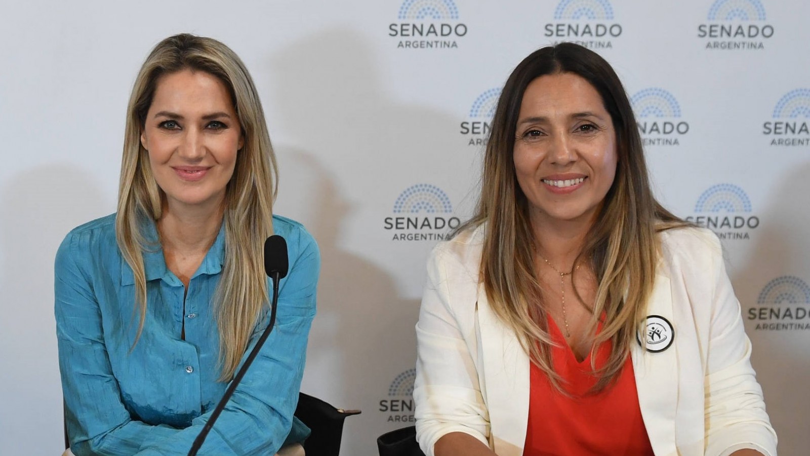 Impulsan proyecto de ley contra las falsas denuncias en una jornada conmovedora en el Senado