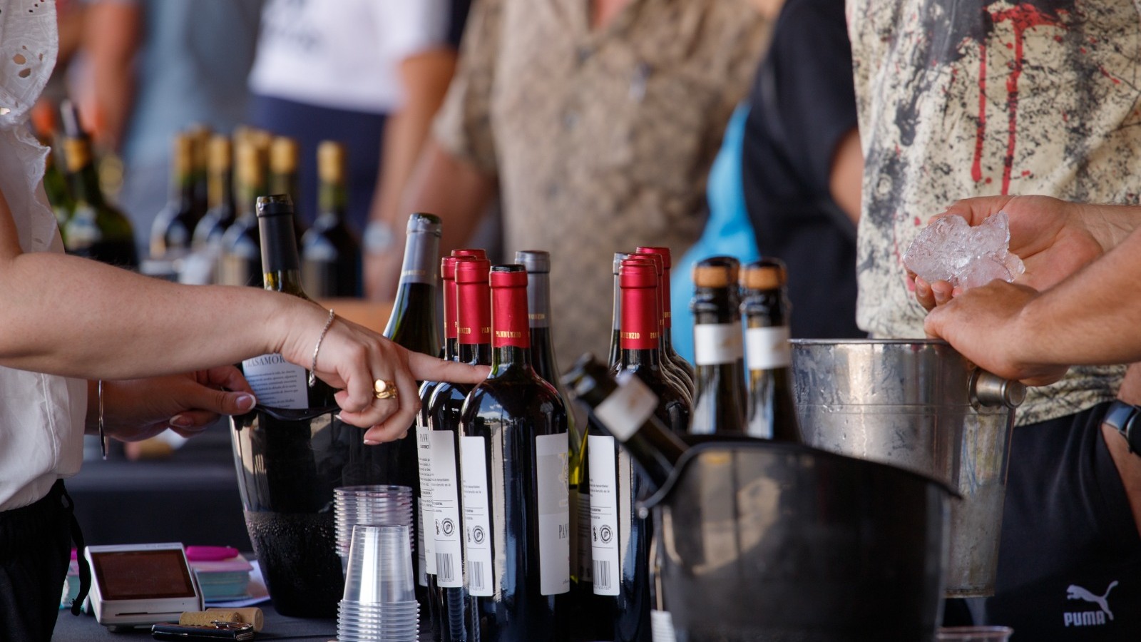 Maipú celebró con éxito la Gran Feria del Vino en la Estación Gutiérrez
