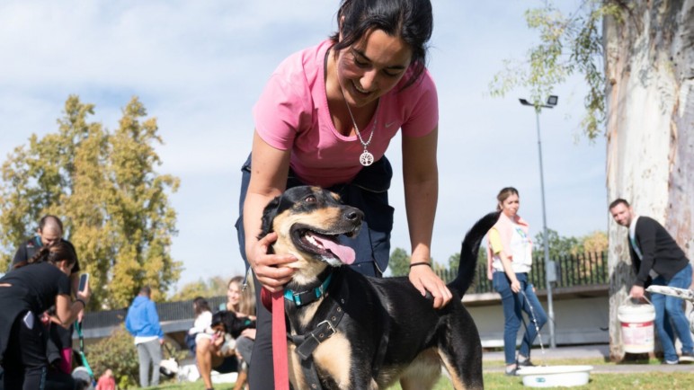 Móvil Veterinario y Centro Fijo: servicios gratuitos en diciembre en la Ciudad de Mendoza