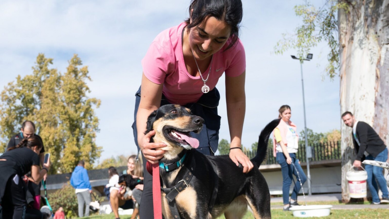 Móvil Veterinario y Centro Fijo: servicios gratuitos en diciembre en la Ciudad de Mendoza