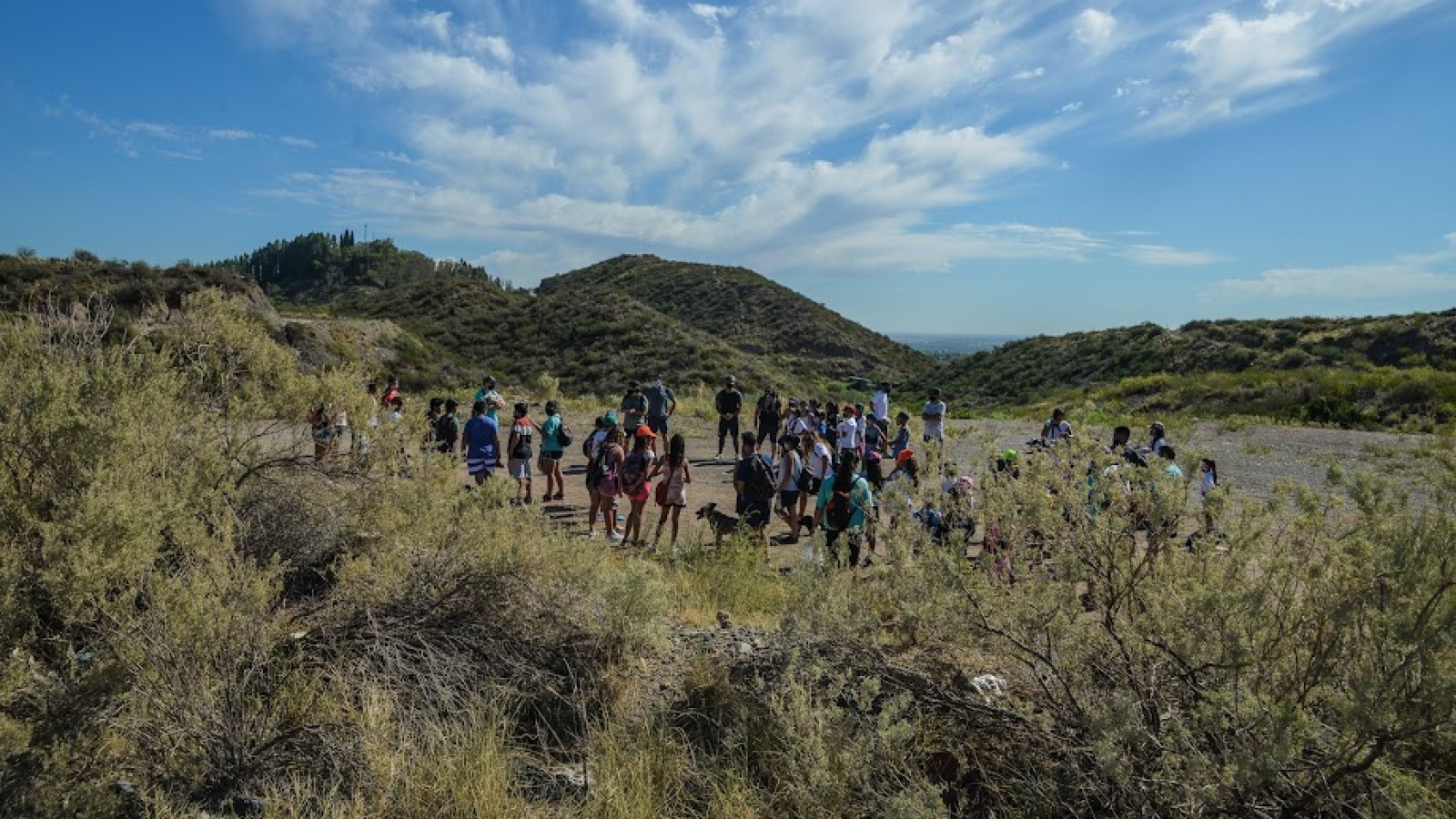 Explorá el corazón del piedemonte mendocino con el imperdible Tour Divisadero