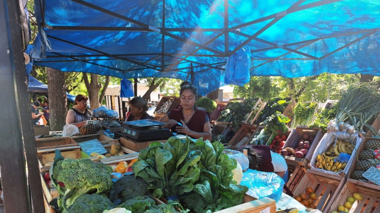 Variedad de productos en la Feria Franca