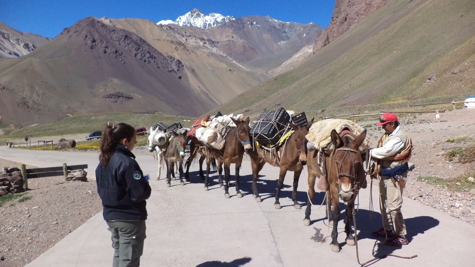 Denuncian maltrato animal en el Parque Provincial Aconcagua