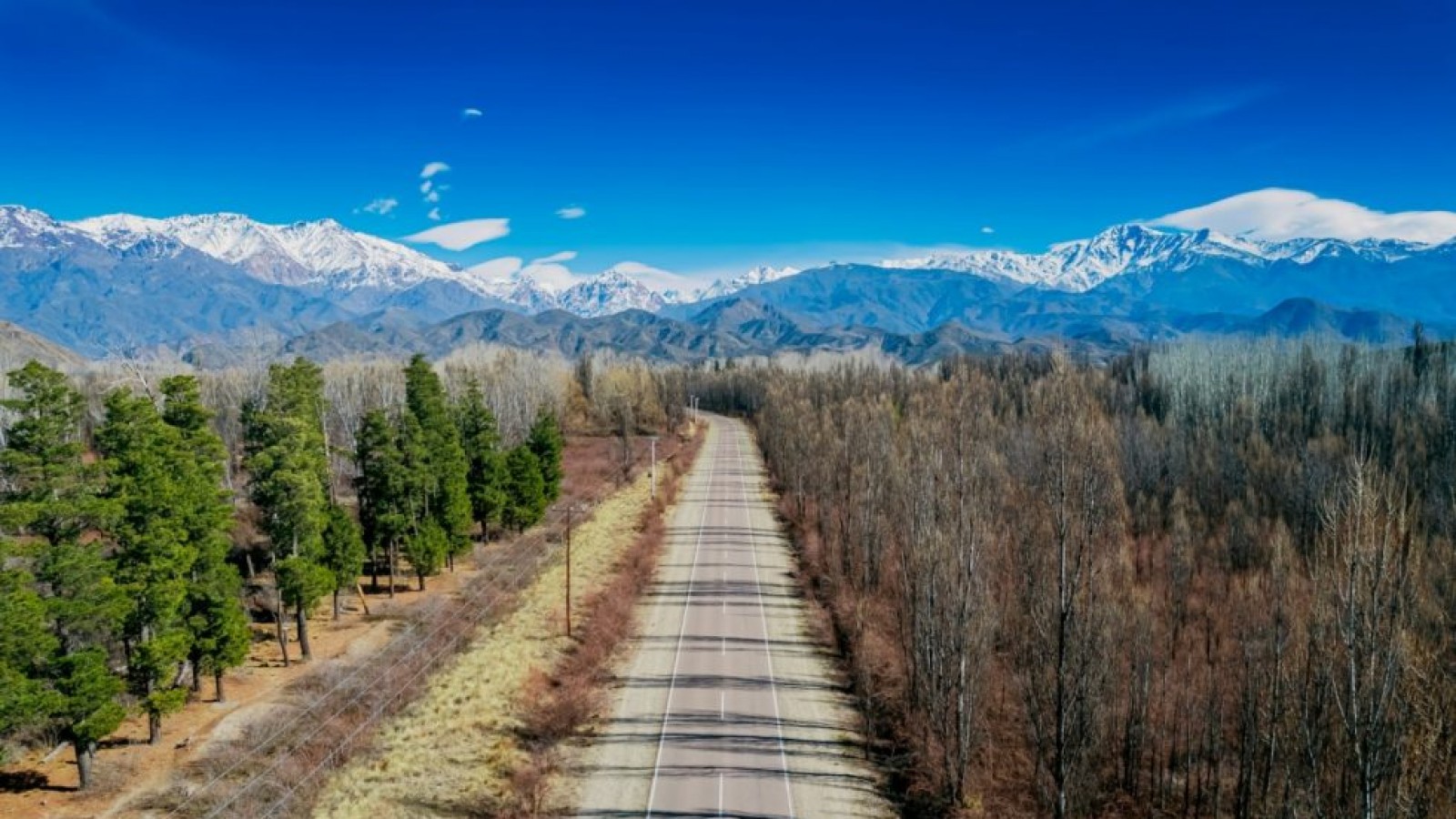 San Rafael lidera el ranking de "Destinos Tendencia" en 2025, según Booking.com