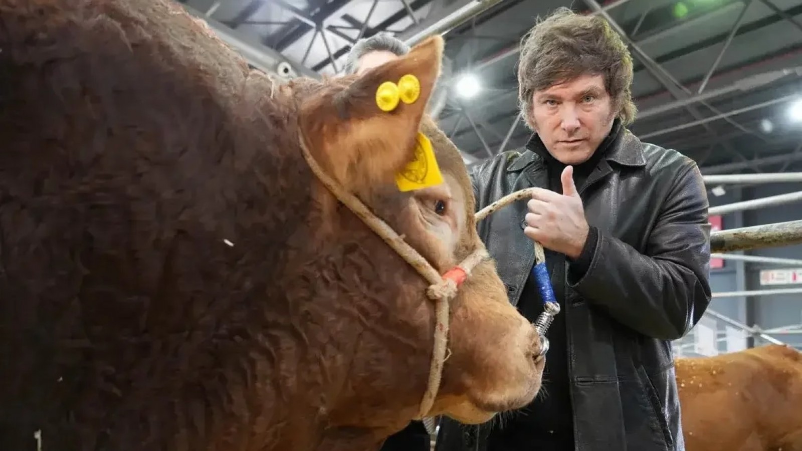 Duro comunicado del campo contra Javier Milei: "Está asfixiando al sector"