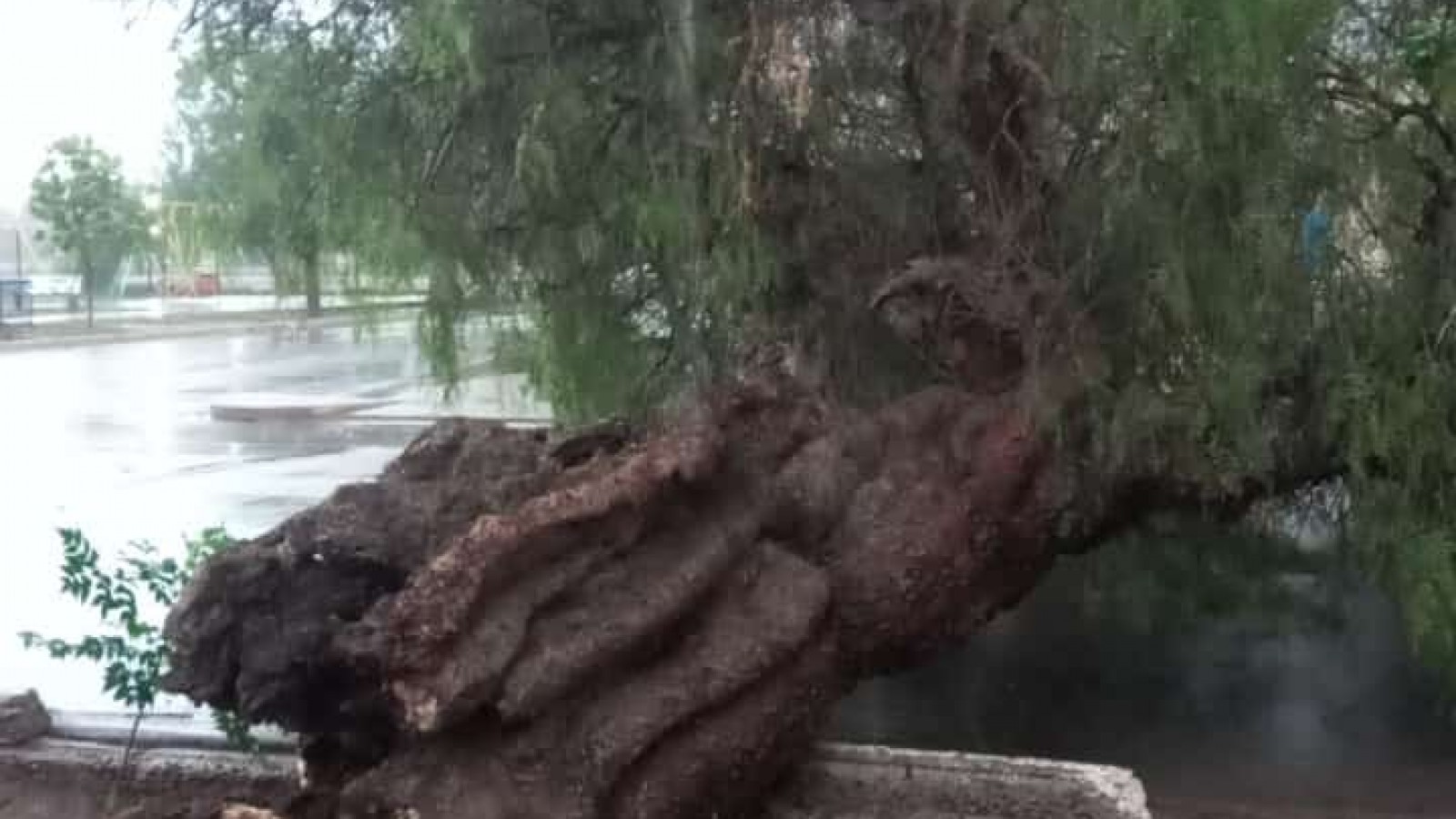 Tornado en La Paz y piedra en Real del Padre, San Rafael