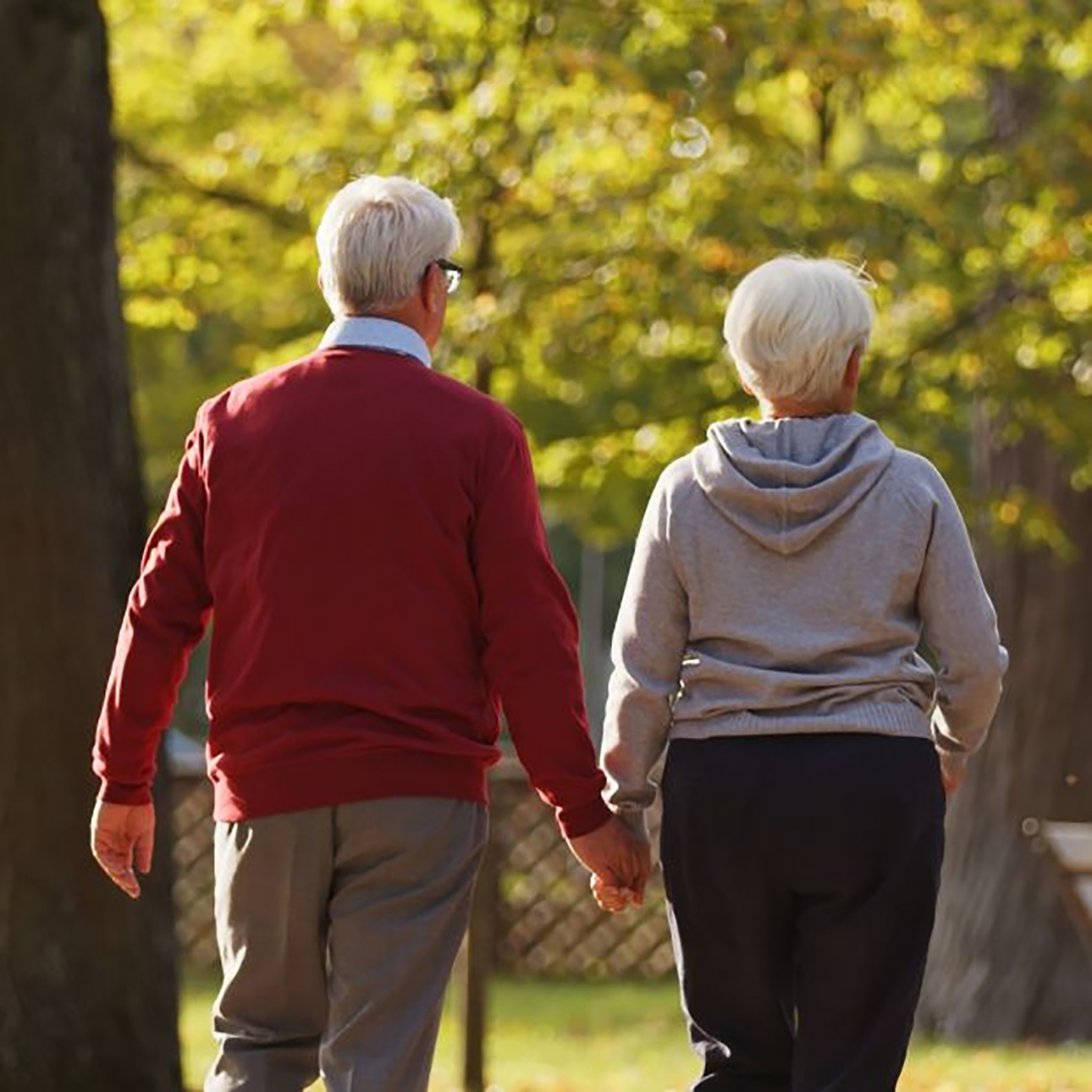 ANSES sorprende con una excelente noticia para jubilados en febrero