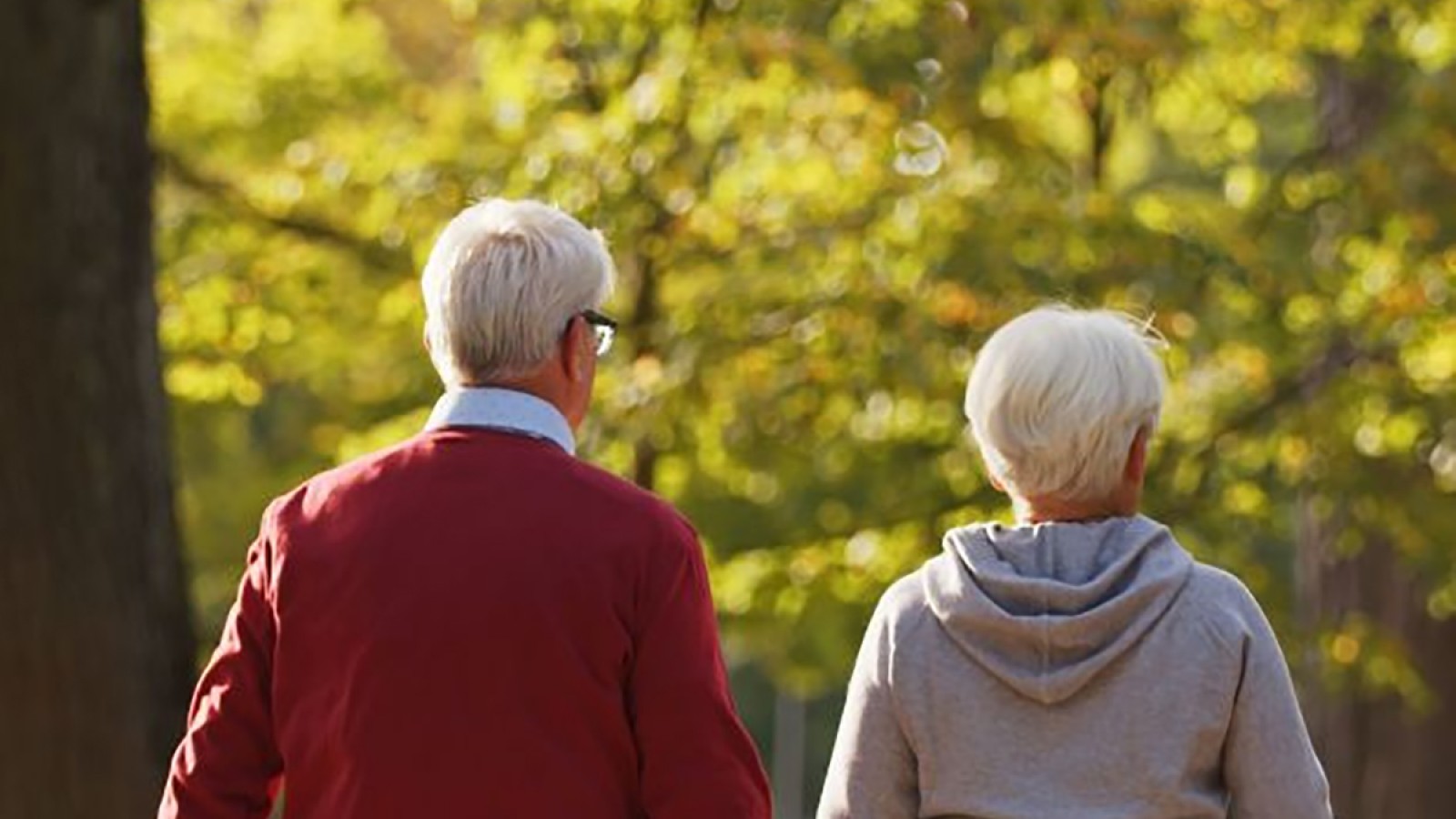 ANSES sorprende con una excelente noticia para jubilados en febrero