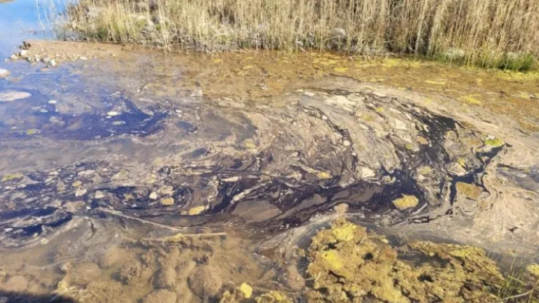 Contaminación descontrolada