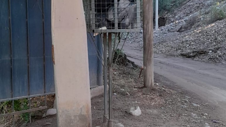 Abandonan Chacras de Coria