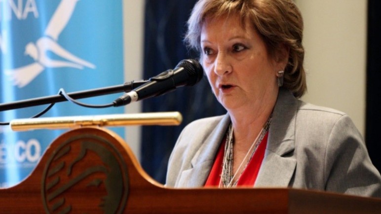 Otra renuncia en el gobierno de Milei, se trata de la subsecretaria de Ambiente Ana María Vidal de Lamas