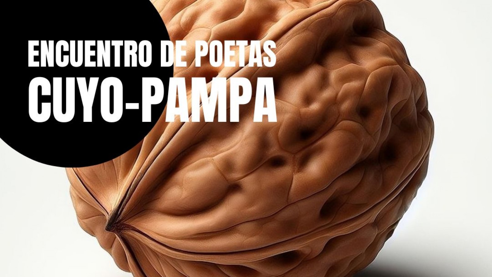 Encuentro de Poetas Cuyo Pampa