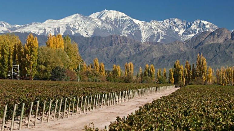 Primer fin de semana largo sin cepo: Mendoza recibió más de 75 mil turistas y se llenó de chilenos