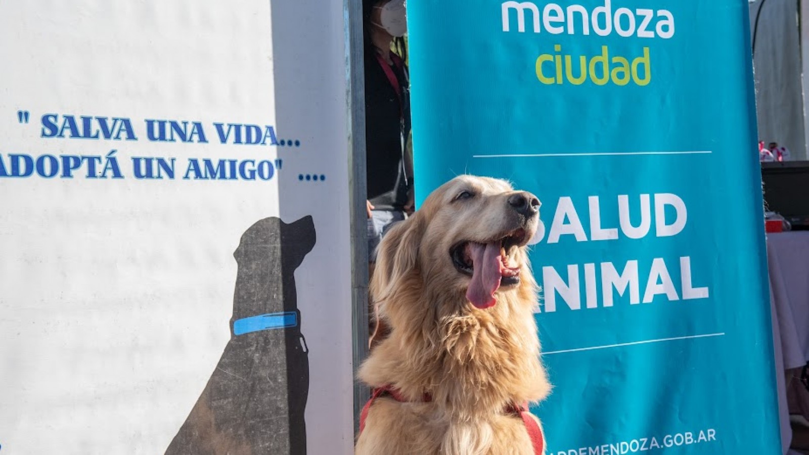 En junio, la Ciudad de Mendoza refuerza el cuidado animal con servicios gratuitos