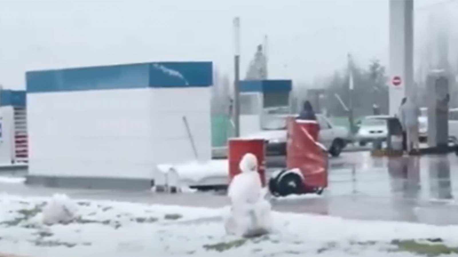 Alerta en Mendoza por fuertes nevadas: piden extremar precauciones