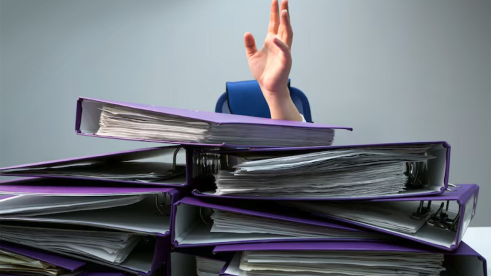 Factibilidad: la palabra de la vergüenza