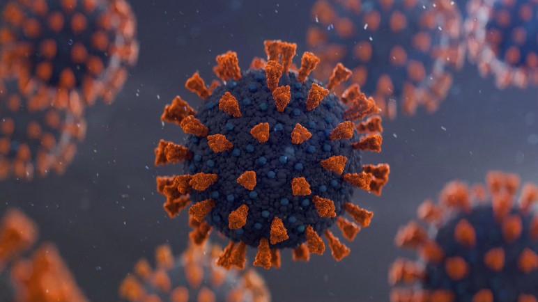 "Frankenstein": confirman casos de la nueva variante del Covid-19 en Argentina