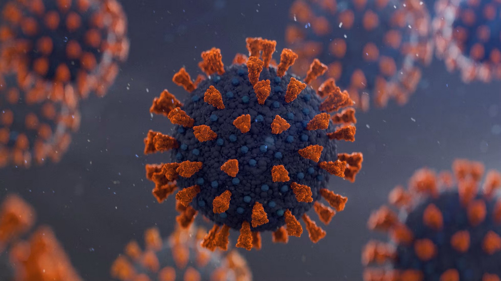 "Frankenstein": confirman casos de la nueva variante del Covid-19 en Argentina