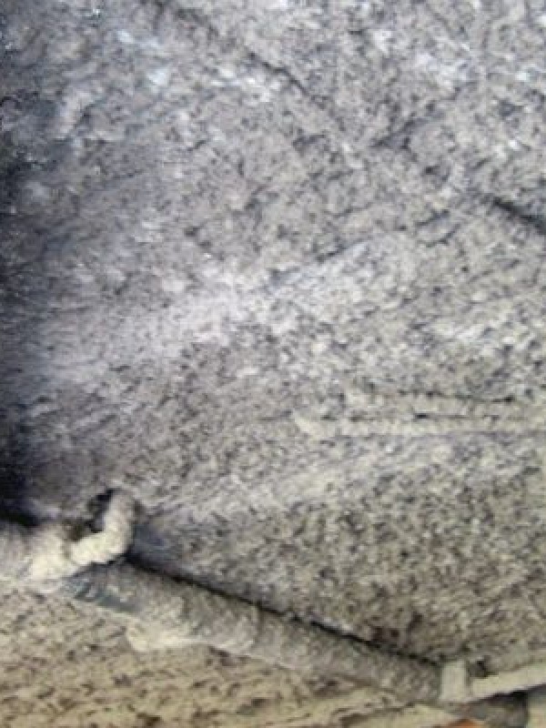 Avances ecológicos en la construcción sustentable