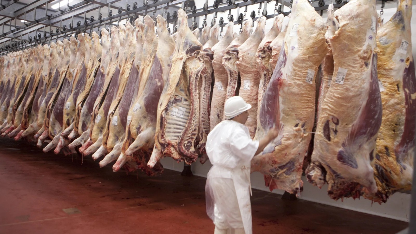 Afirman que la carne argentina es más cara en el país que en París