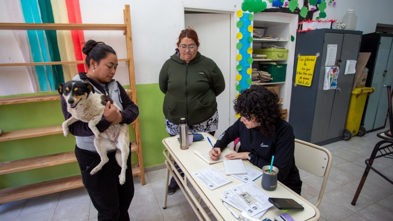 Campaña de Salud Animal en la Ciudad: cronograma de octubre para vacunación y desparasitación