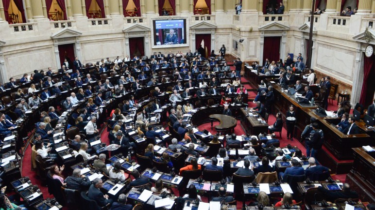La Cámara de Diputados le puso límites a los DNU de Javier Milei