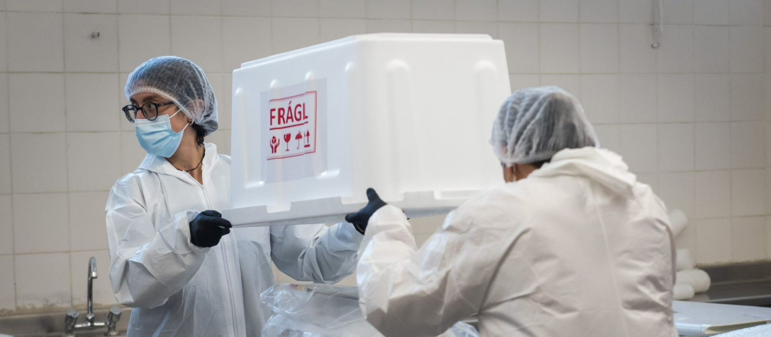 Se llevó a cabo el traslado de la ofrenda del Niño del Aconcagua al Museo Moyano