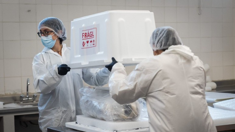 Se llevó a cabo el traslado de la ofrenda del Niño del Aconcagua al Museo Moyano
