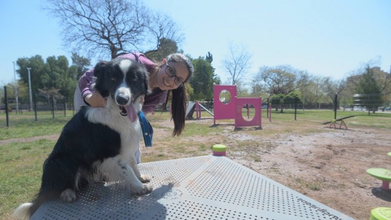 Servicios municipales de salud animal en diciembre en la Ciudad de Mendoza