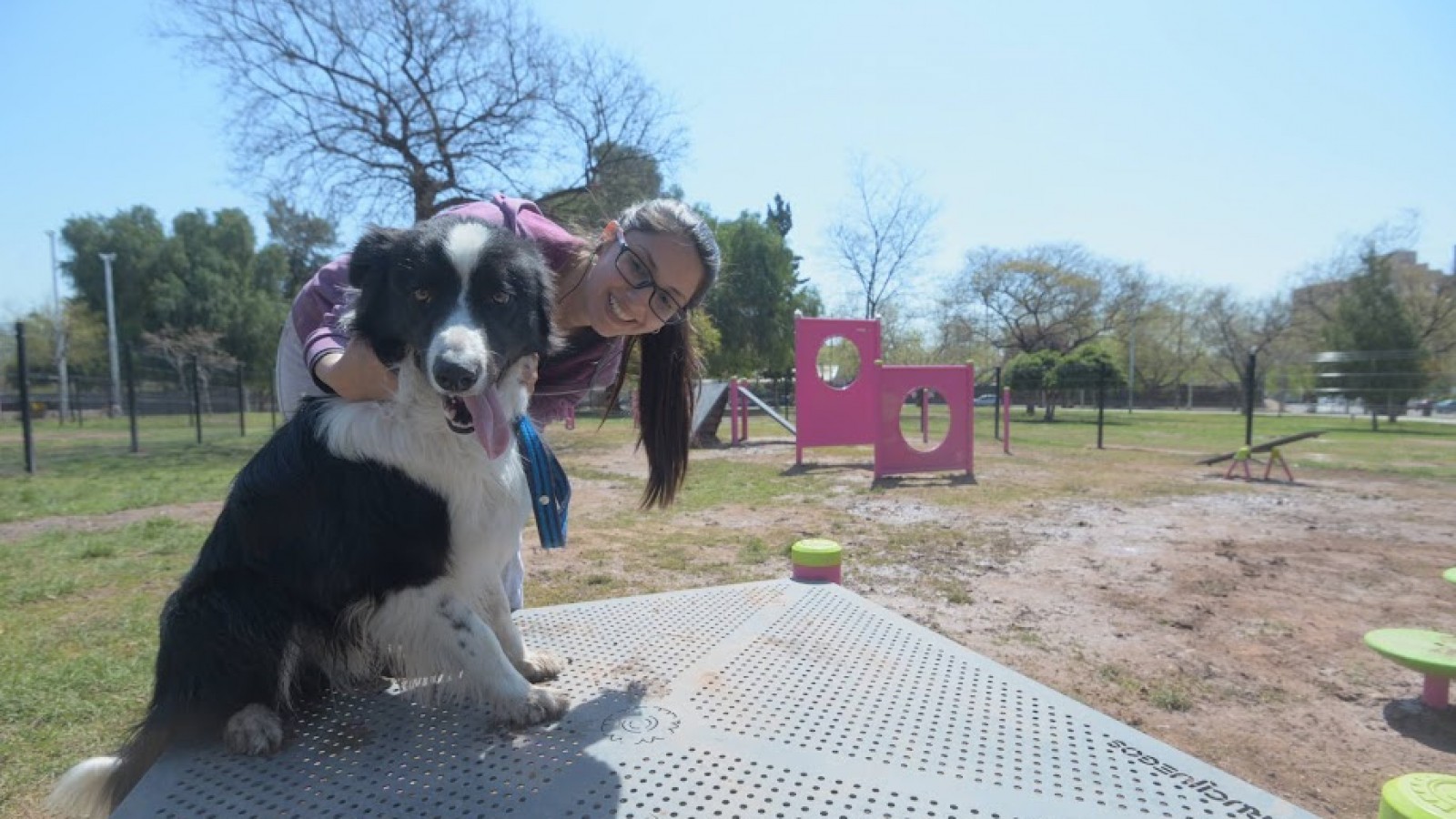 Servicios municipales de salud animal en diciembre en la Ciudad de Mendoza