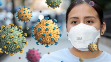 La OMS alerta en el mundo por la alta circulación de gripe A H3N2