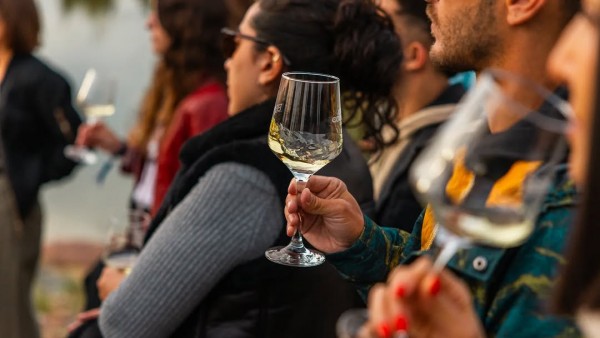 Wine Rock Session 2026: rock, vino y montaña en una experiencia única al pie de la Cordillera