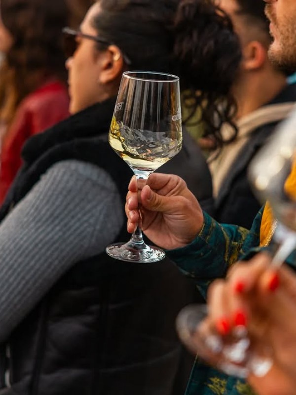 Wine Rock Session 2026: rock, vino y montaña en una experiencia única al pie de la Cordillera