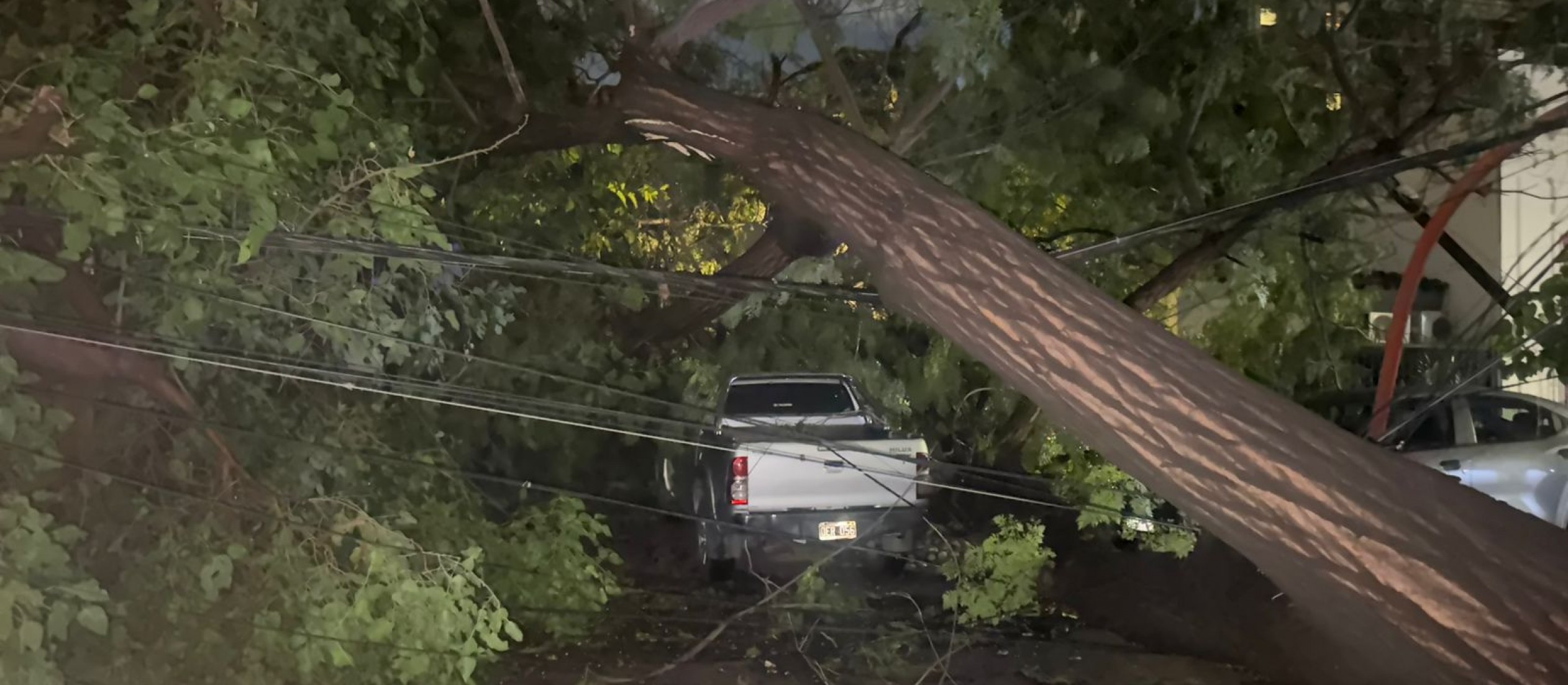 Tormenta, daños y respuesta inmediata: los datos clave del operativo de la Ciudad de Mendoza