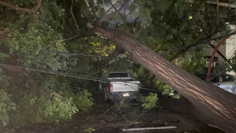 Tormenta, daños y respuesta inmediata: los datos clave del operativo de la Ciudad de Mendoza